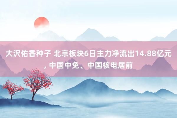 大沢佑香种子 北京板块6日主力净流出14.88亿元，<a href=