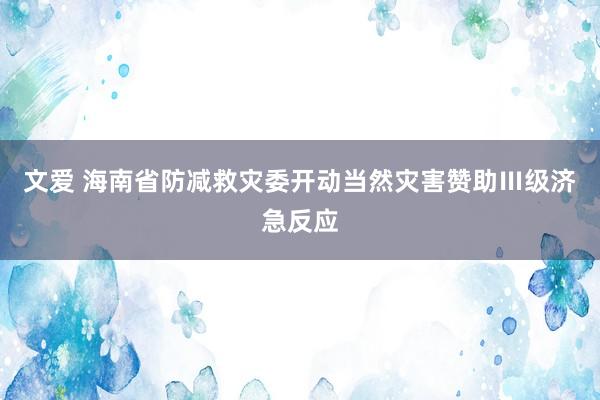 文爱 海南省防减救灾委开动当然灾害赞助Ⅲ级济急反应