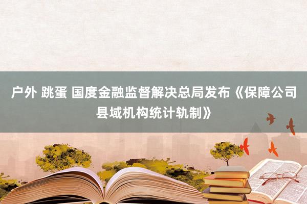 户外 跳蛋 国度金融监督解决总局发布《保障公司县域机构统计轨制》