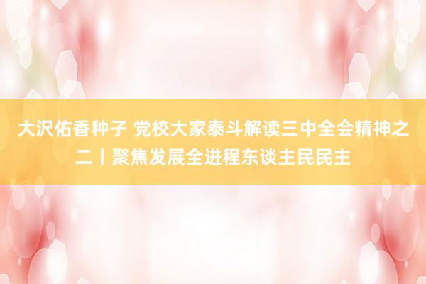 大沢佑香种子 党校大家泰斗解读三中全会精神之二丨聚焦发展全进程东谈主民民主