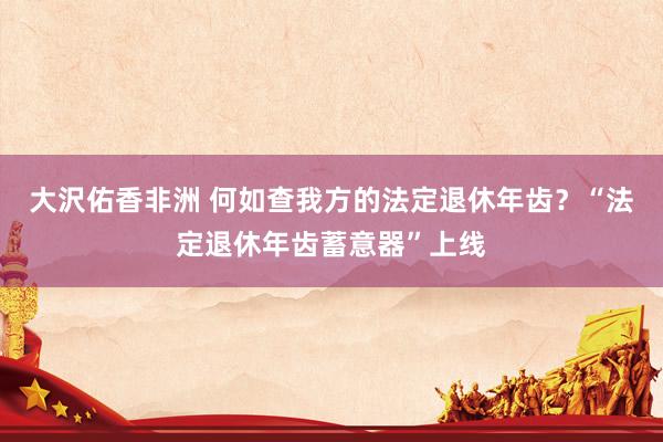 大沢佑香非洲 何如查我方的法定退休年齿？“法定退休年齿蓄意器”上线