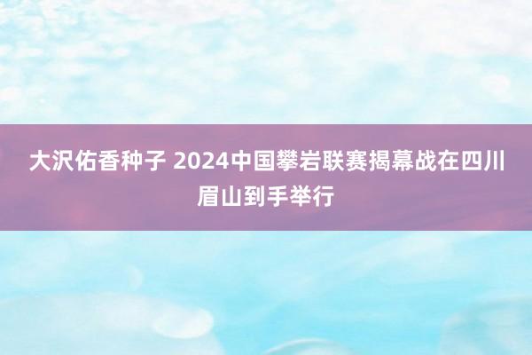 大沢佑香种子 2024中国攀岩联赛揭幕战在四川眉山到手举行