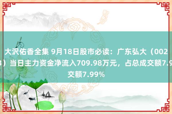 大沢佑香全集 9月18日股市必读：广东弘大（002683）当日主力资金净流入709.98万元，占总成交额7.99%