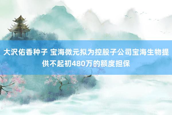 大沢佑香种子 宝海微元拟为控股子公司宝海生物提供不起初480万的额度担保