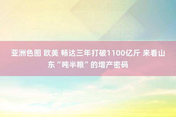 亚洲色图 欧美 畅达三年打破1100亿斤 来看山东“吨半粮”的增产密码