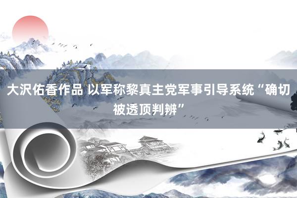 大沢佑香作品 以军称黎真主党军事引导系统“确切被透顶判辨”