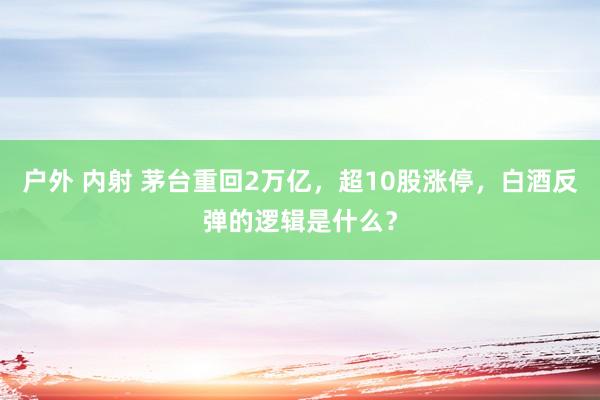 户外 内射 茅台重回2万亿，超10股涨停，白酒反弹的逻辑是什么？