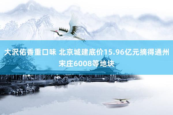 大沢佑香重口味 北京城建底价15.96亿元摘得通州宋庄6008等地块