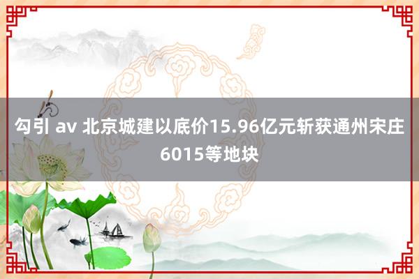 勾引 av 北京城建以底价15.96亿元斩获通州宋庄6015等地块