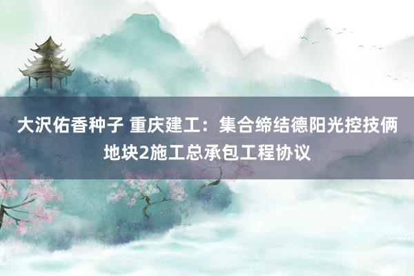 大沢佑香种子 重庆建工：集合缔结德阳光控技俩地块2施工总承包工程协议