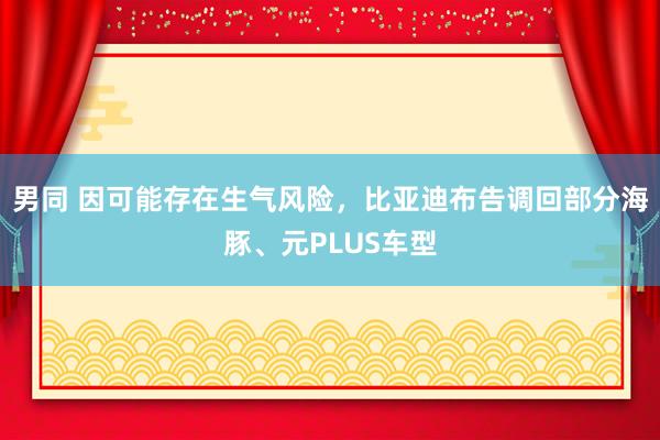 男同 因可能存在生气风险，比亚迪布告调回部分海豚、元PLUS车型