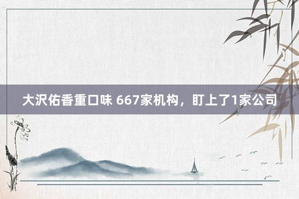 大沢佑香重口味 667家机构，盯上了1家公司