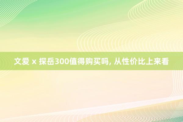 文爱 x 探岳300值得购买吗， 从性价比上来看