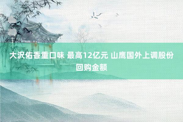 大沢佑香重口味 最高12亿元 山鹰国外上调股份回购金额