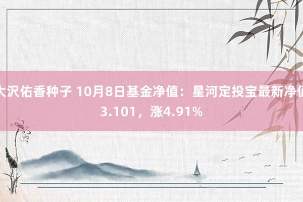 大沢佑香种子 10月8日基金净值：星河定投宝最新净值3.101，涨4.91%