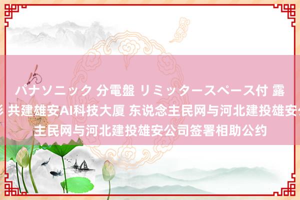 パナソニック 分電盤 リミッタースペース付 露出・半埋込両用形 共建雄安AI科技大厦 东说念主民网与河北建投雄安公司签署相助公约