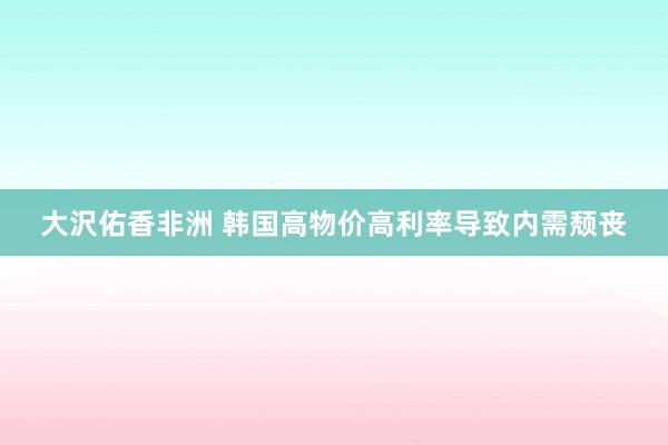 大沢佑香非洲 韩国高物价高利率导致内需颓丧