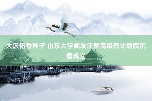 大沢佑香种子 山东大学阐发注解高级有计划院沉着成立