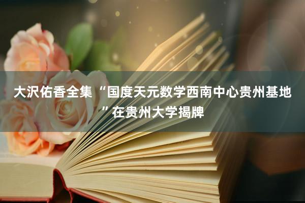 大沢佑香全集 “国度天元数学西南中心贵州基地”在贵州大学揭牌