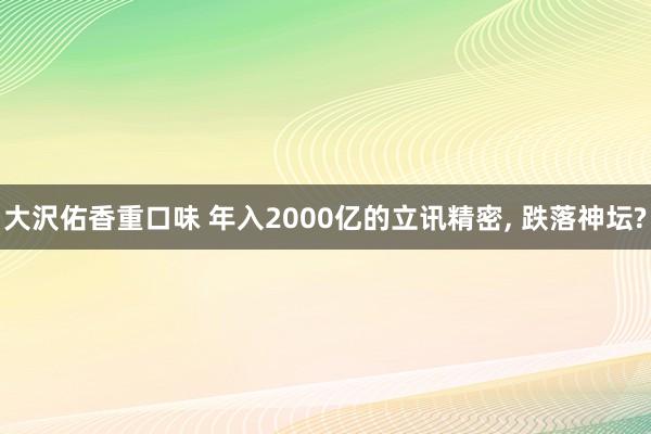 大沢佑香重口味 年入2000亿的立讯精密， 跌落神坛?