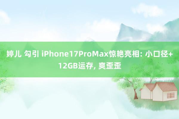 婷儿 勾引 iPhone17ProMax惊艳亮相: 小口径+12GB运存， 爽歪歪