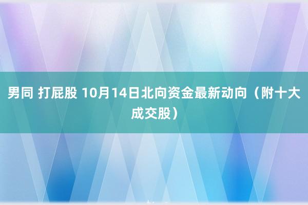 男同 打屁股 10月14日北向资金最新动向（附十大成交股）