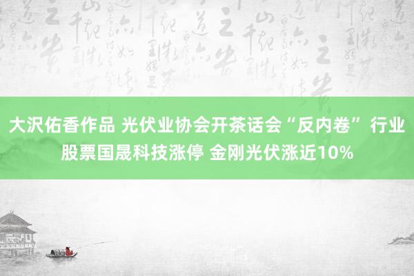 大沢佑香作品 光伏业协会开茶话会“反内卷” 行业股票国晟科技涨停 金刚光伏涨近10%