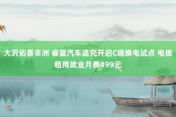 大沢佑香非洲 睿蓝汽车追究开启C端换电试点 电板租用就业月费499元