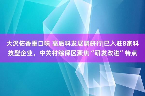 大沢佑香重口味 高质料发展调研行|已入驻8家科技型企业，中关村综保区聚焦“研发改进”特点