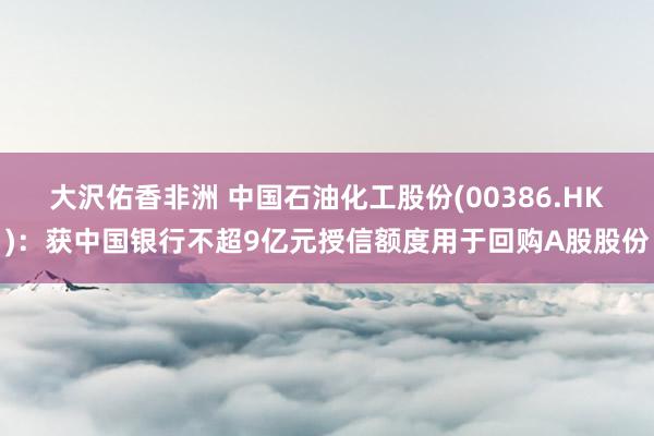 大沢佑香非洲 中国石油化工股份(00386.HK)：获中国银行不超9亿元授信额度用于回购A股股份