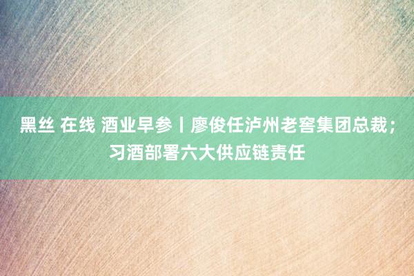 黑丝 在线 酒业早参丨廖俊任泸州老窖集团总裁；习酒部署六大供应链责任