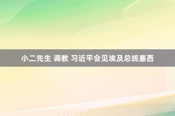 小二先生 调教 习近平会见埃及总统塞西