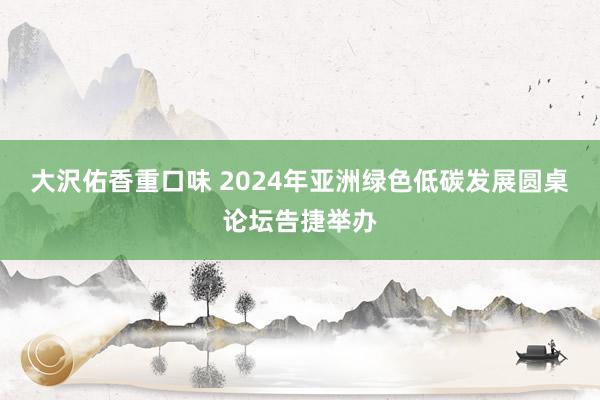 大沢佑香重口味 2024年亚洲绿色低碳发展圆桌论坛告捷举办