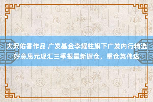 大沢佑香作品 广发基金李耀柱旗下广发内行精选好意思元现汇三季报最新握仓，重仓英伟达