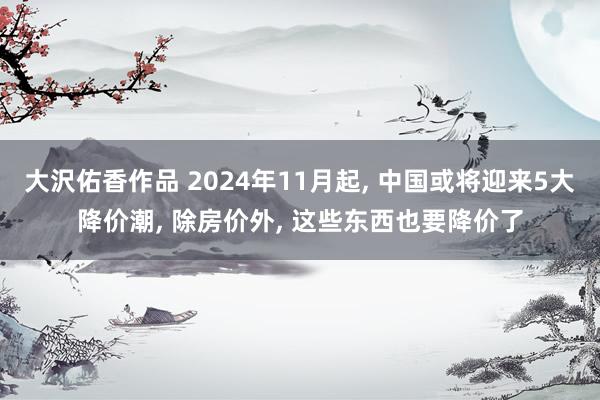 大沢佑香作品 2024年11月起， 中国或将迎来5大降价潮， 除房价外， 这些东西也要降价了