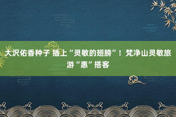 大沢佑香种子 插上“灵敏的翅膀”！梵净山灵敏旅游“惠”搭客