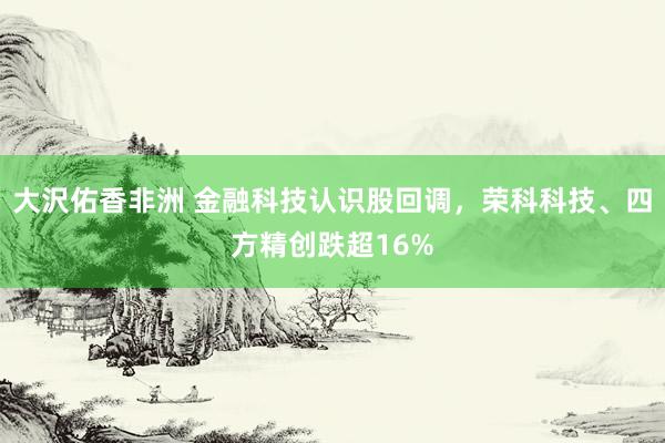 大沢佑香非洲 金融科技认识股回调，荣科科技、四方精创跌超16%