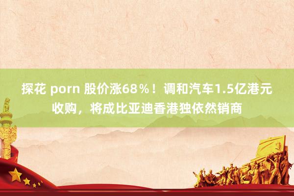 探花 porn 股价涨68％！调和汽车1.5亿港元收购，将成比亚迪香港独依然销商