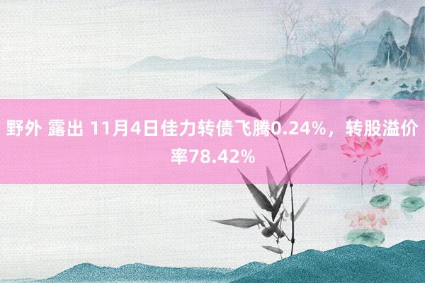 野外 露出 11月4日佳力转债飞腾0.24%，转股溢价率78.42%