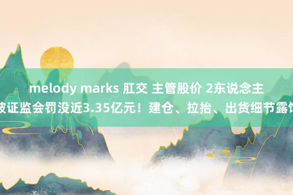 melody marks 肛交 主管股价 2东说念主被证监会罚没近3.35亿元！建仓、拉抬、出货细节露馅