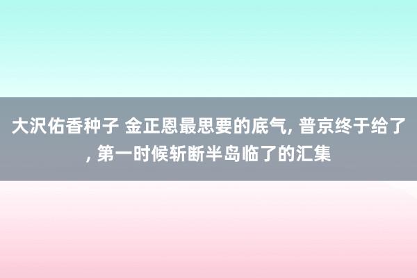 大沢佑香种子 金正恩最思要的底气， 普京终于给了， 第一时候斩断半岛临了的汇集