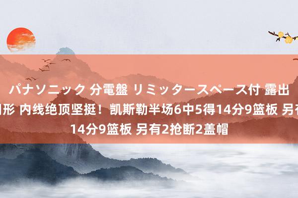 パナソニック 分電盤 リミッタースペース付 露出・半埋込両用形 内线绝顶坚挺！凯斯勒半场6中5得14分9篮板 另有2抢断2盖帽