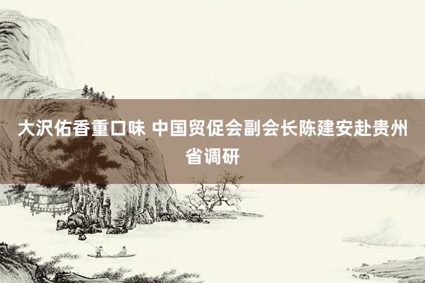 大沢佑香重口味 中国贸促会副会长陈建安赴贵州省调研