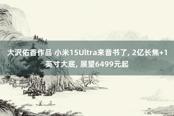 大沢佑香作品 小米15Ultra来音书了， 2亿长焦+1英寸大底， 展望6499元起