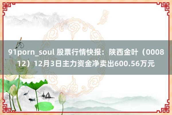 91porn_soul 股票行情快报：陕西金叶（000812）12月3日主力资金净卖出600.56万元