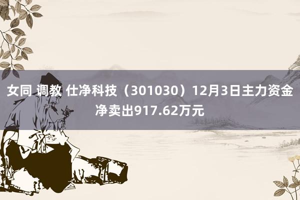 女同 调教 仕净科技（301030）12月3日主力资金净卖出917.62万元