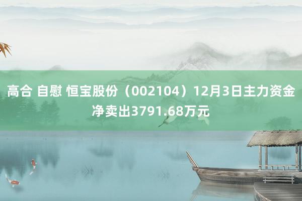 高合 自慰 恒宝股份（002104）12月3日主力资金净卖出3791.68万元