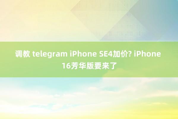 调教 telegram iPhone SE4加价? iPhone 16芳华版要来了