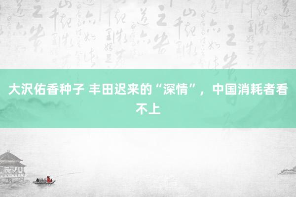 大沢佑香种子 丰田迟来的“深情”，中国消耗者看不上