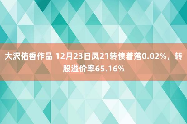 大沢佑香作品 12月23日凤21转债着落0.02%，转股溢价率65.16%